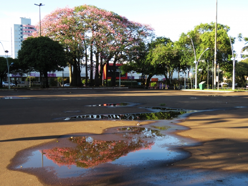 Praça Wilson Jofre e Praça do Teatro: A Grande Disparidade das Feiras