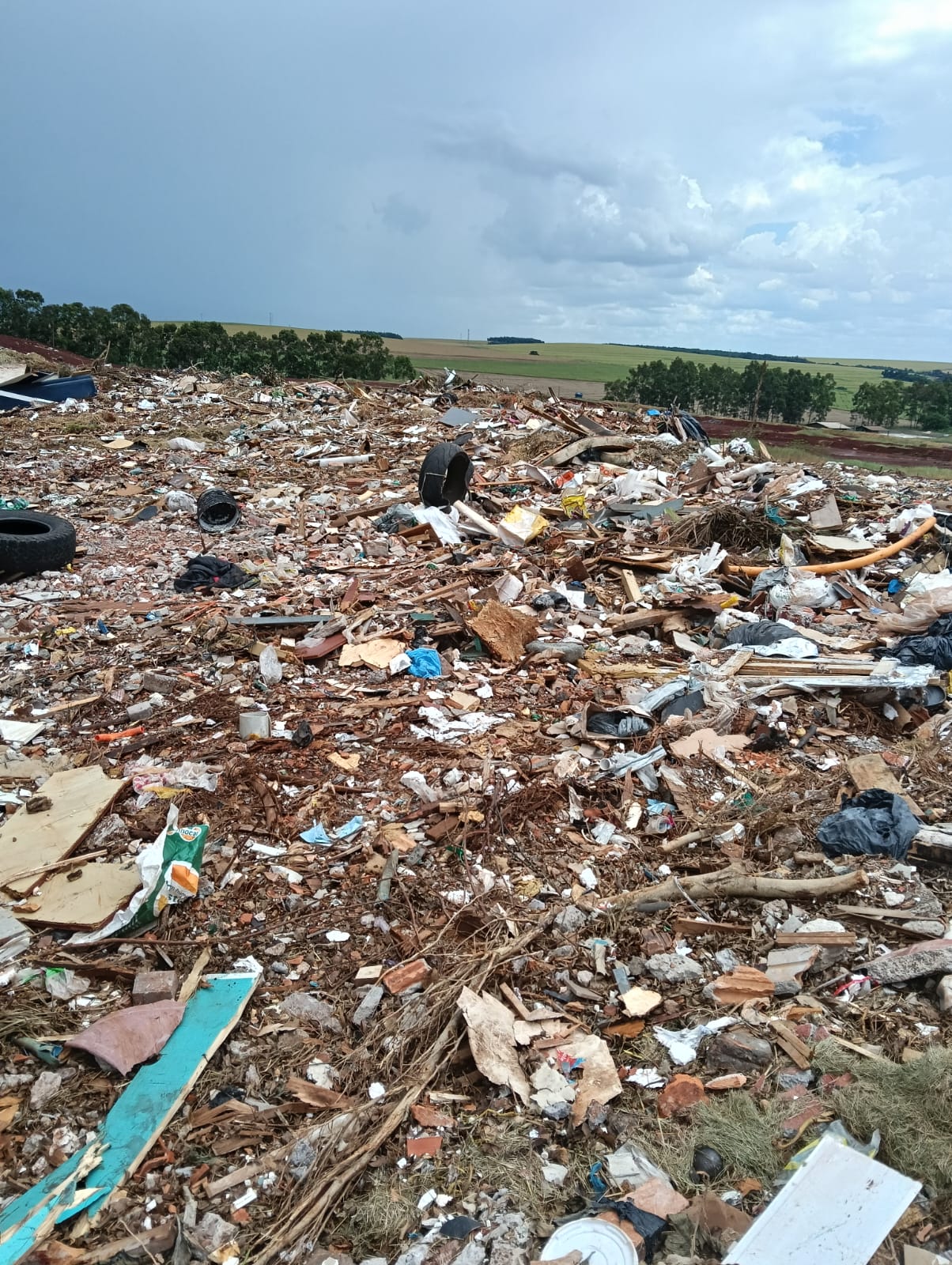 Descarte Ilegal em Cascavel: A Polêmica Resposta do Secretário do Meio Ambiente