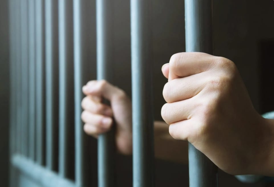 Visita Policial à Câmara: O Assessor que Ignora a Pensão Alimentícia!