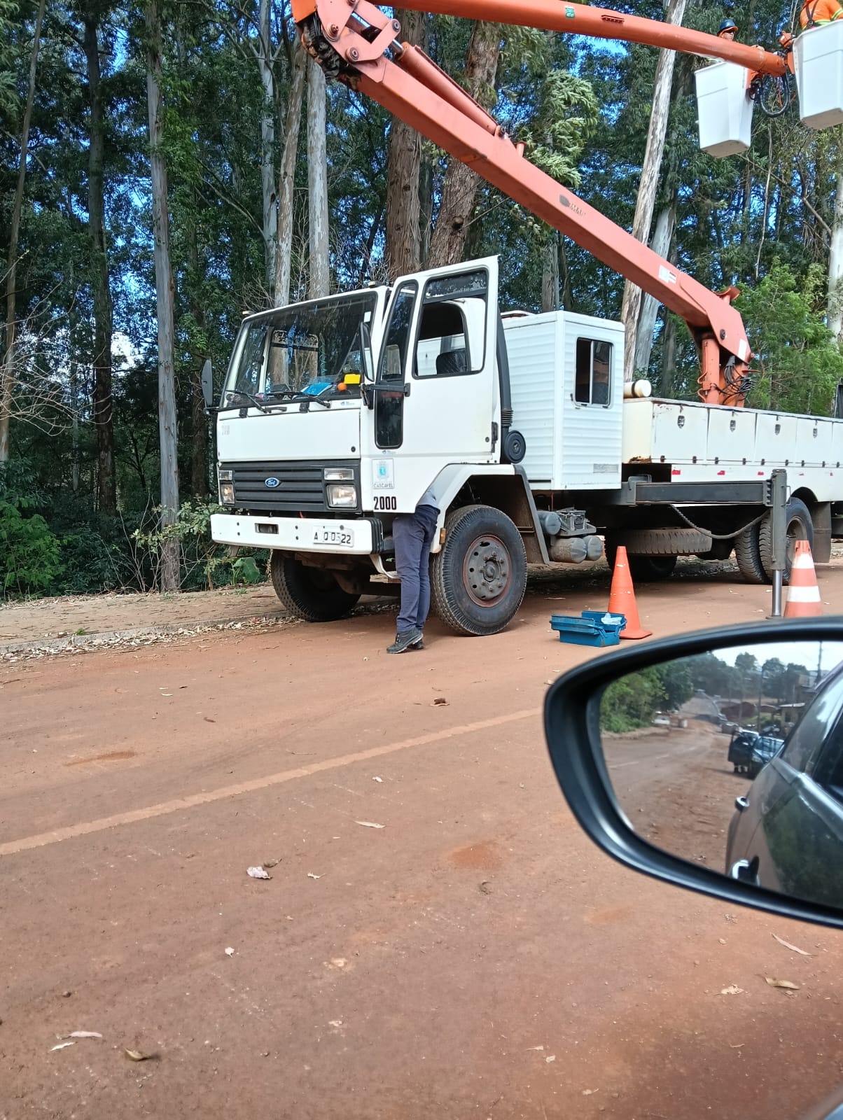 Denúncia: Podas em Cascavel! Dinheiro Público Cortado Pela Raiz!