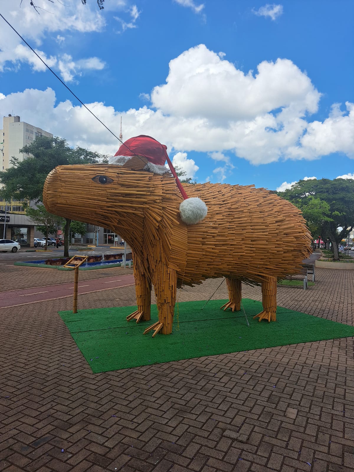Cascavel: Um Natal Sem Magia e com Bambu no Lugar do Papai Noel!